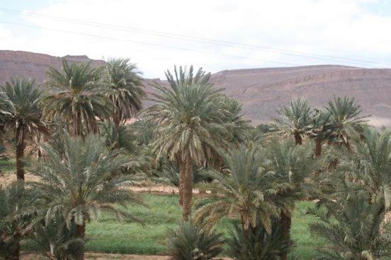 Maggaman Guest House Tafraoute Sidi Ali Zewnętrze zdjęcie